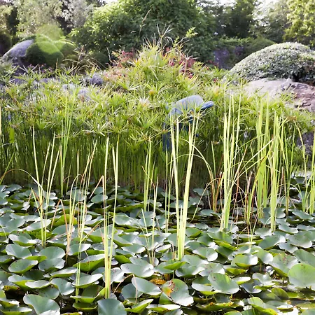 San Giovanni 3* بورتو فيكشْيو