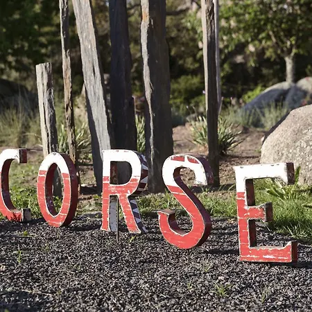 San Giovanni فندق