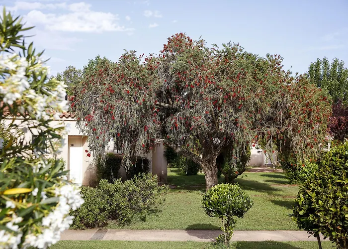 San Giovanni 3* Porto-Vecchio (Corsica)