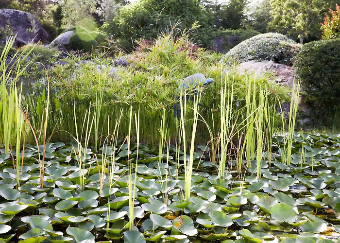 San Giovanni 3* Porto Vecchio